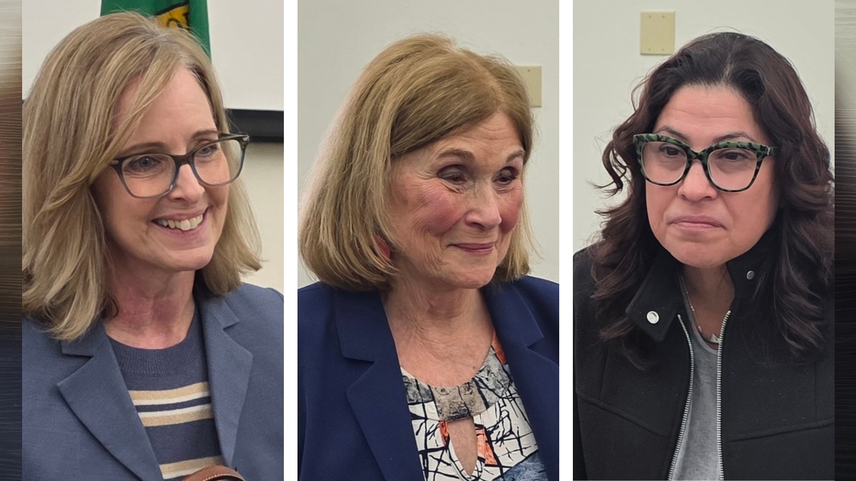 49th Legislative District Democrats share their reasons for backing state income tax at Town Hall