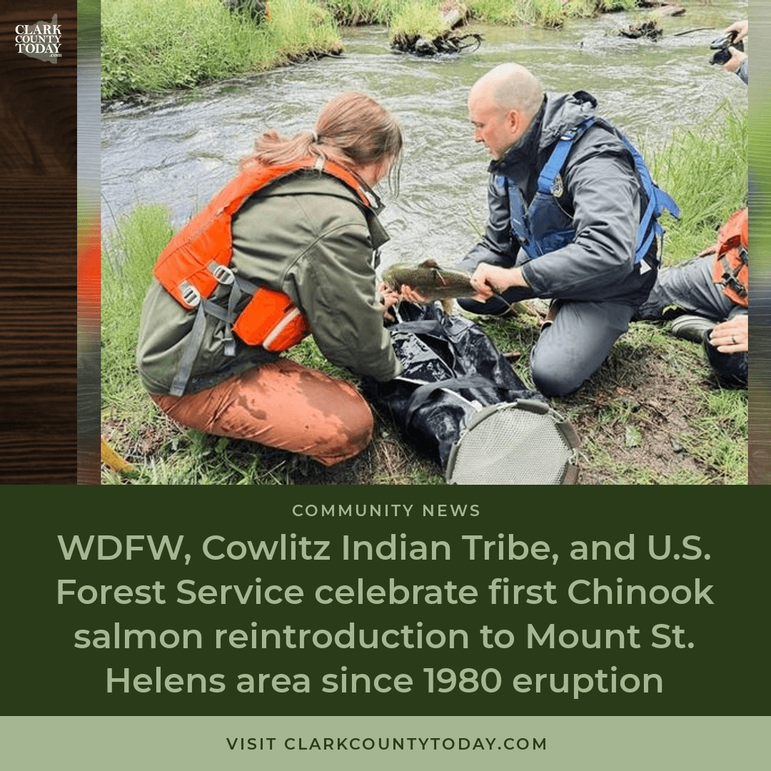 Chinook Salmon Return to Mount St. Helens Watershed episode artwork