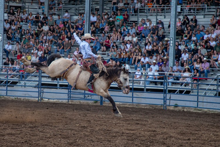 The 158th Clark County Fair runs Aug. 7-16 in Ridgefield, featuring Mars Encounters, three headliner concerts, and admission prices held steady from last year.
