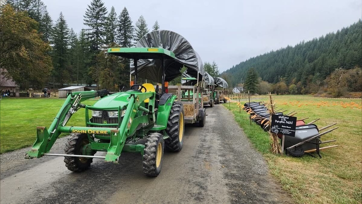Pumpkin patch highlight: Pomeroy Farm presents farming from the past