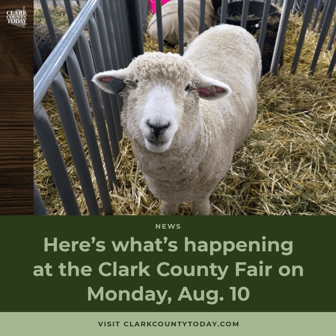 Clark County Fair Monday: Bull Riding and Mutton Bustin' episode artwork