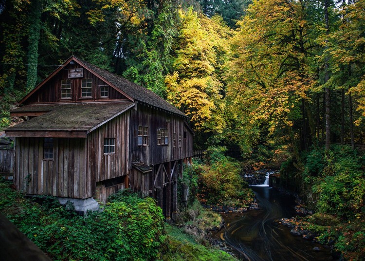 The Cedar Creek Grist Mill, which is celebrating its 150th year in Clark County near Woodland, provides spectacular fall color views that are accessible for all abilities.