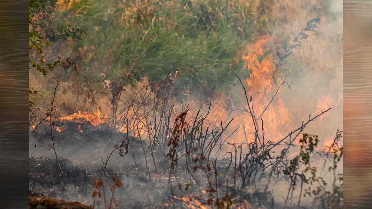 Burn ban expanded in unincorporated Clark County