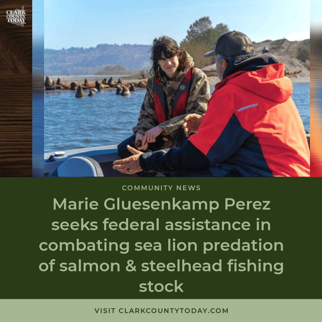 Gluesenkamp Perez Seeks Federal Help Against Sea Lion Predation