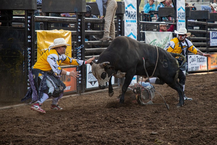 The 158th Clark County Fair runs Aug. 7-16 in Ridgefield, featuring Mars Encounters, three headliner concerts, and admission prices held steady from last year.