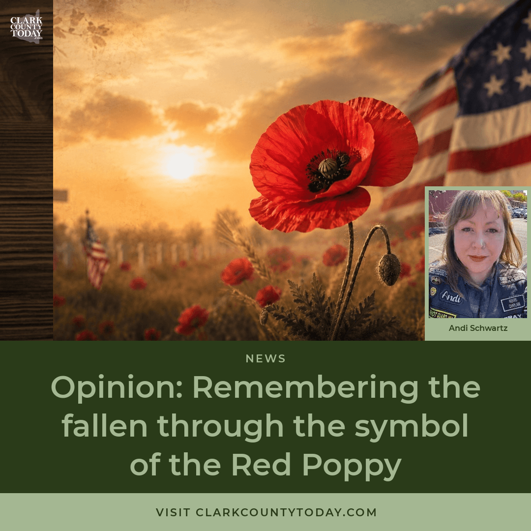 The Red Poppy: Remembering the fallen this Memorial Day