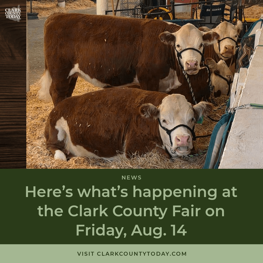 Clark County Fair Friday: Monster Trucks, Donuts & More episode artwork