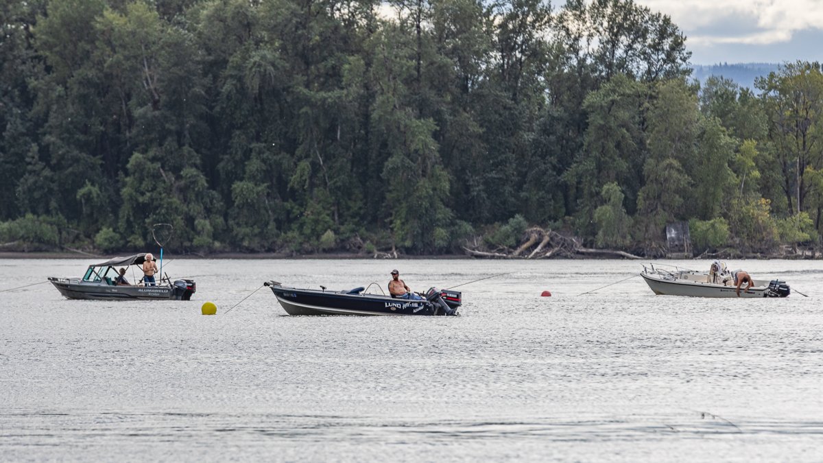 Columbia River to open for additional spring Chinook retention days
