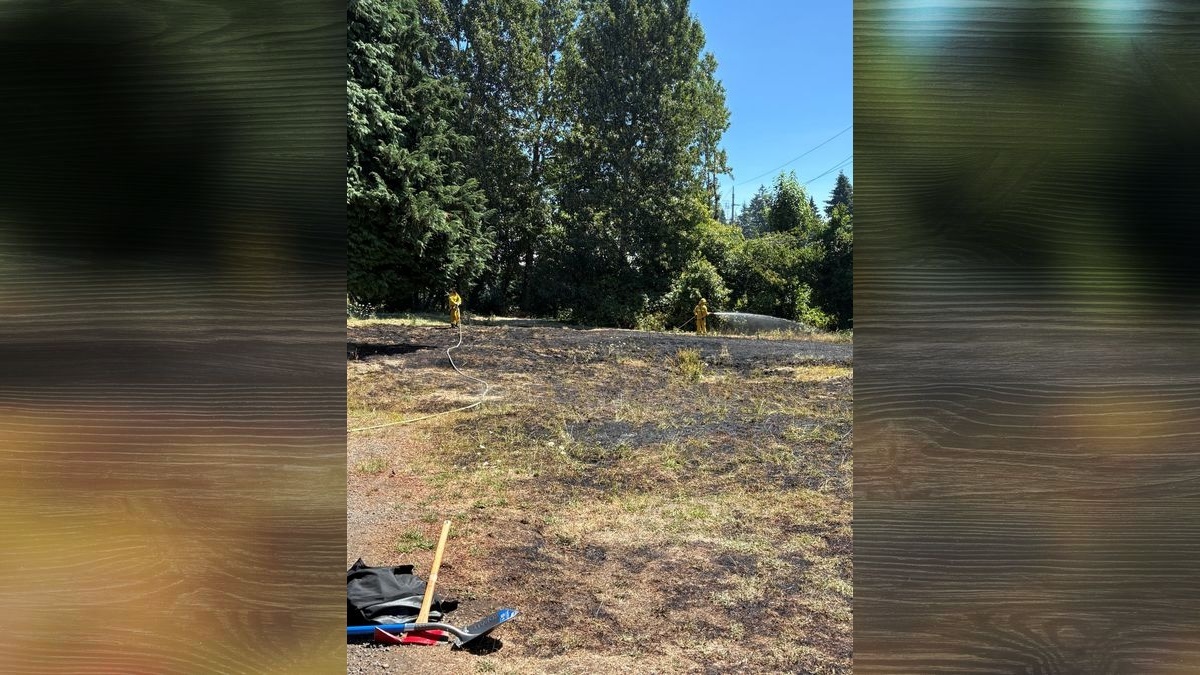 VFD extinguishes brush fire