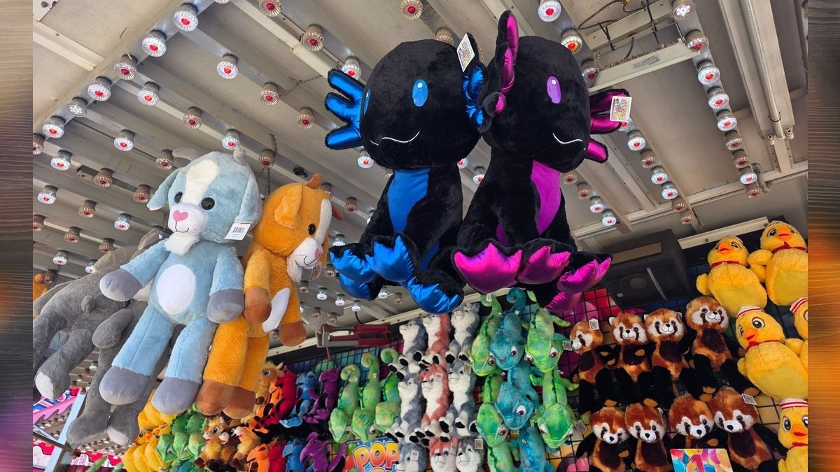 Here’s what’s happening at the Clark County Fair on Saturday, Aug. 15