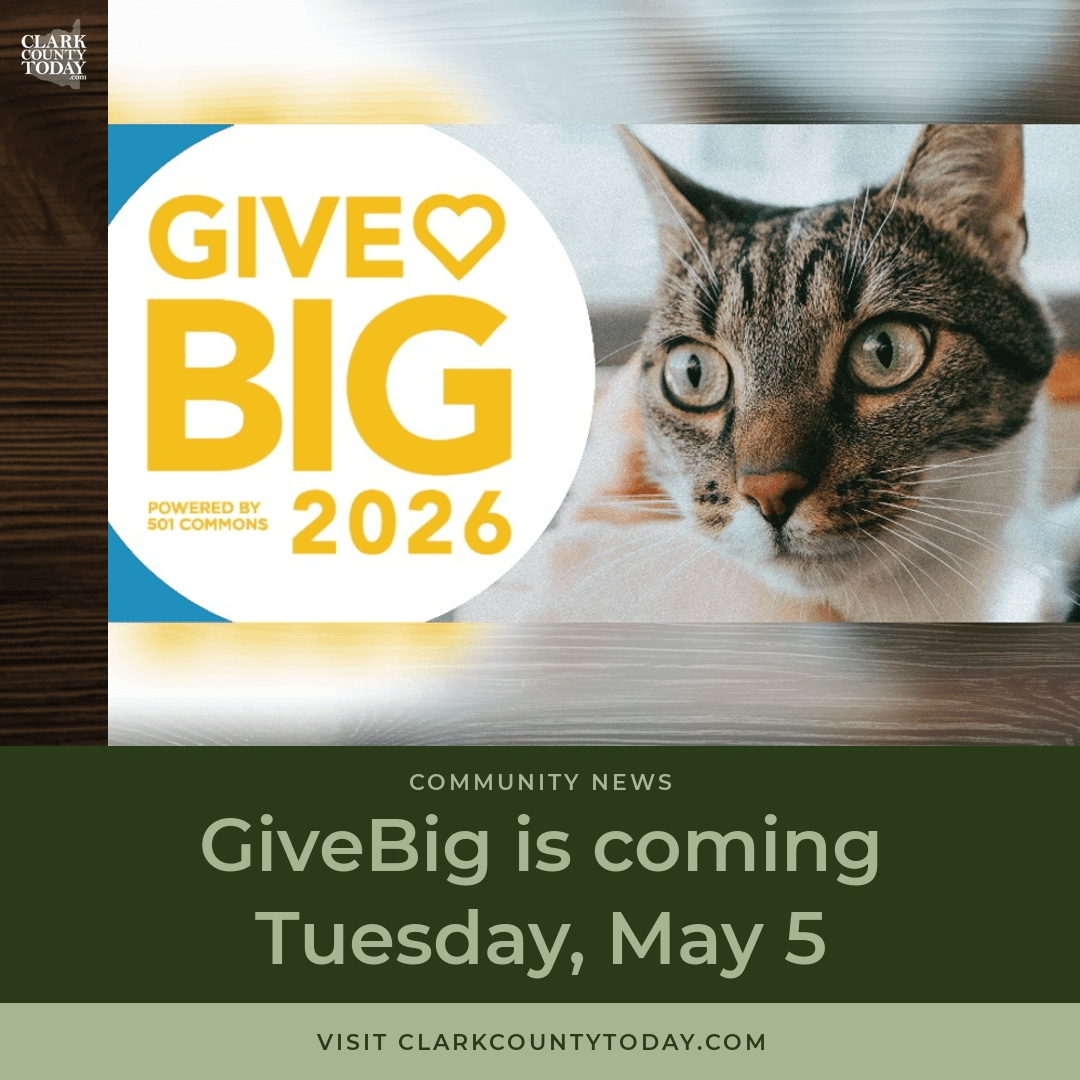Furry Friends seeks $10K for cat medical care on GiveBig day
