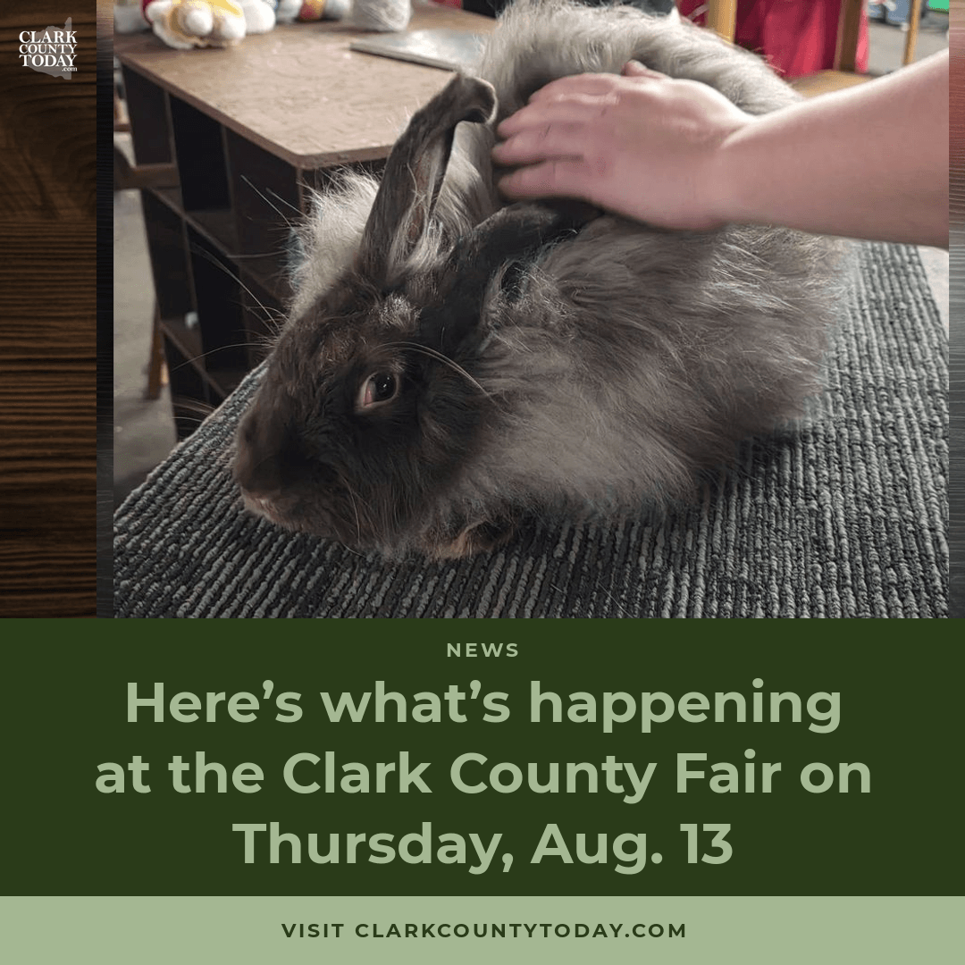Monster Trucks and Kids Day at the Clark County Fair episode artwork