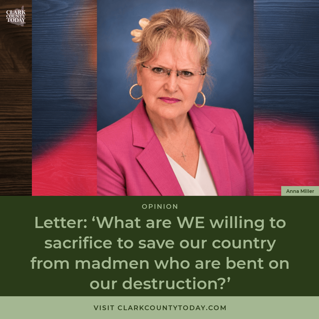Audio artwork for “Letter: ‘What are WE willing to sacrifice to save our country from madmen who are bent on our destruction?’”