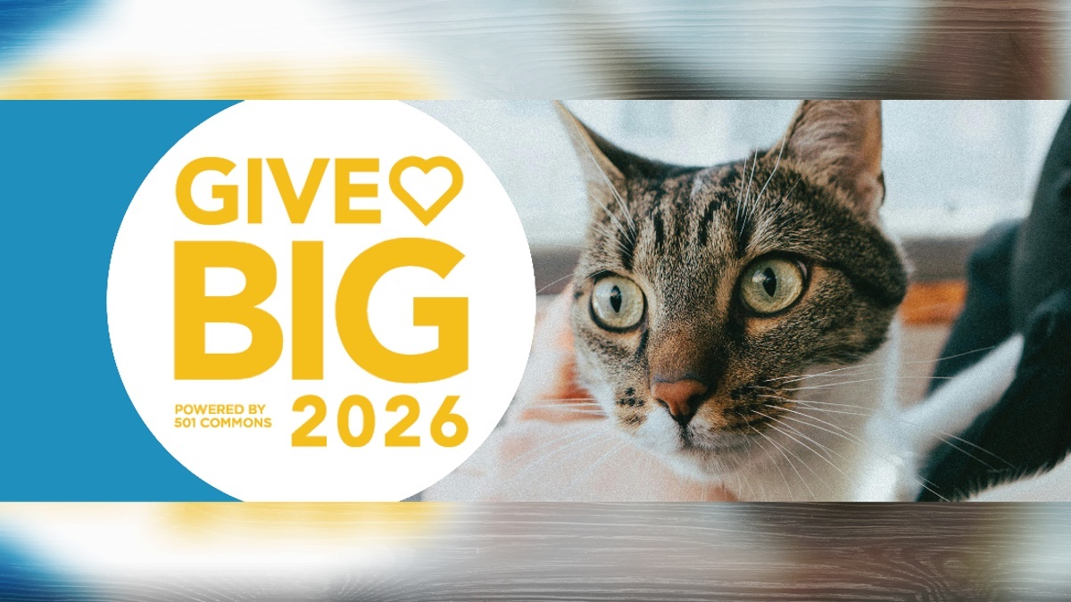 GiveBig is coming Tuesday, May 5