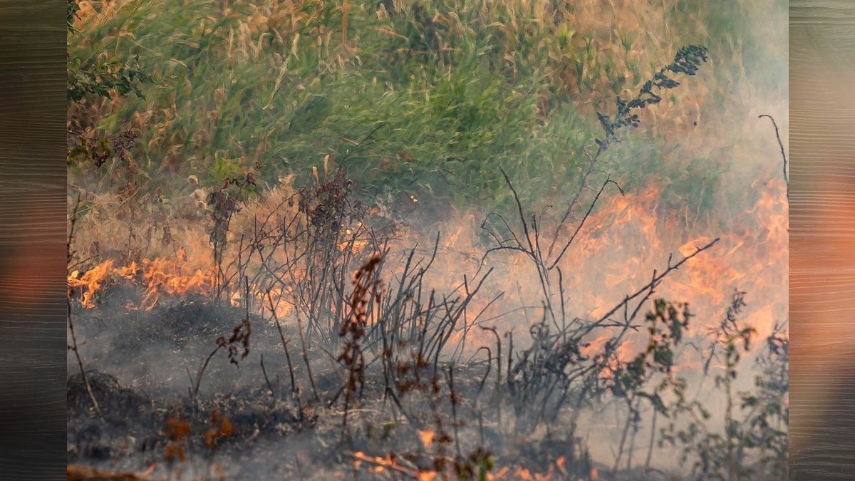 City of Vancouver issues temporary ban on all recreational burning