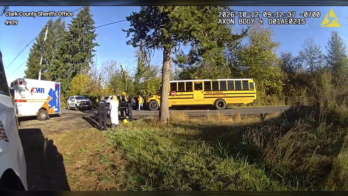Driver cited after striking child near stopped school bus
