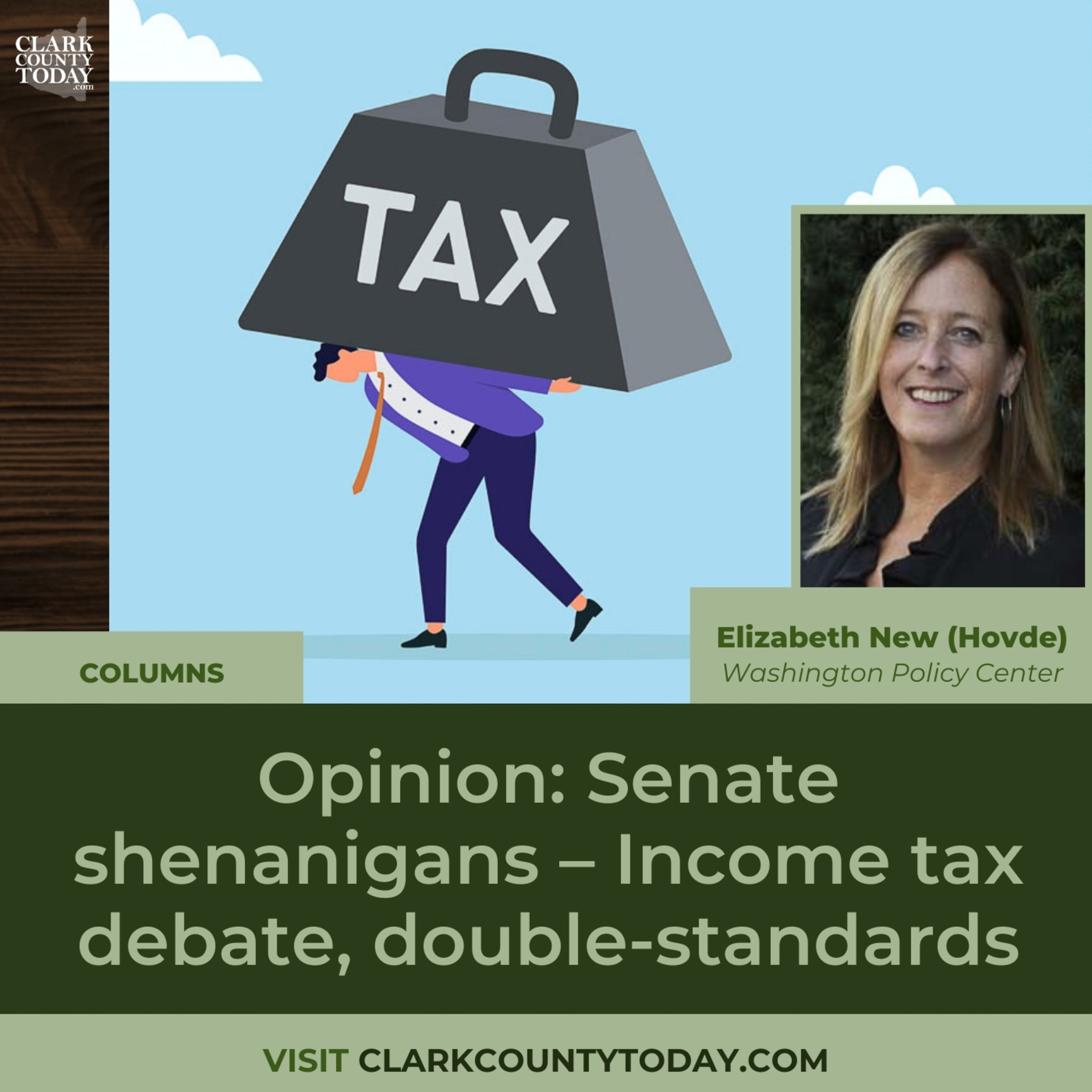 Opinion: Senate shenanigans – Income tax debate, double-standards episode artwork