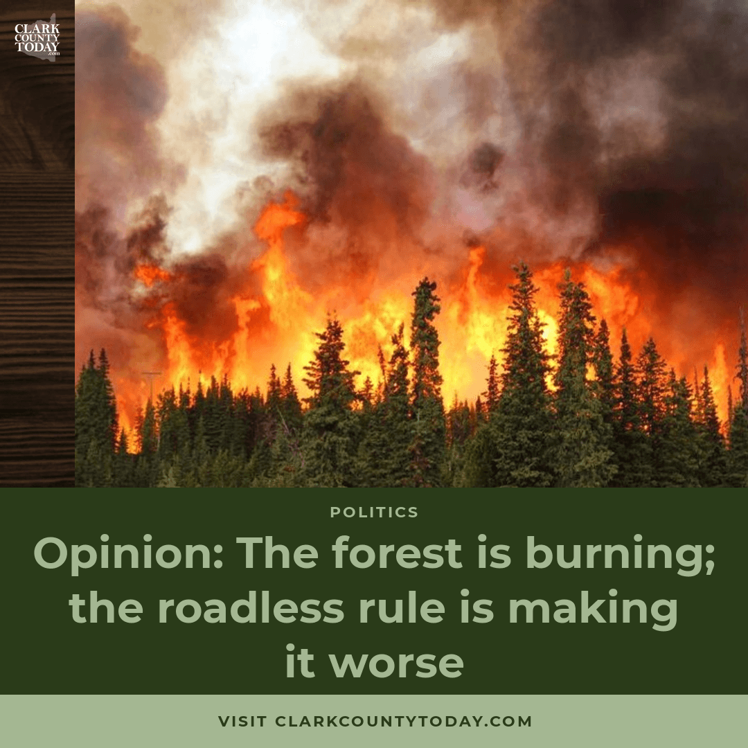 Roadless Rule, Wildfire Smoke, and Forest Policy episode artwork