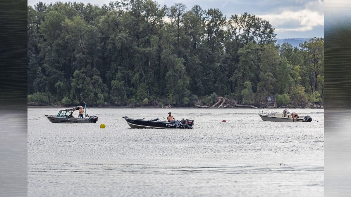 Columbia River to open for additional spring Chinook retention days