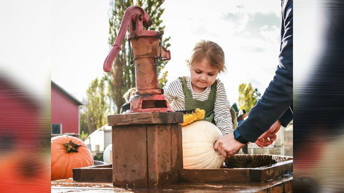 Pumpkin patch highlight: Bi-Zi Farms owners share how the business developed