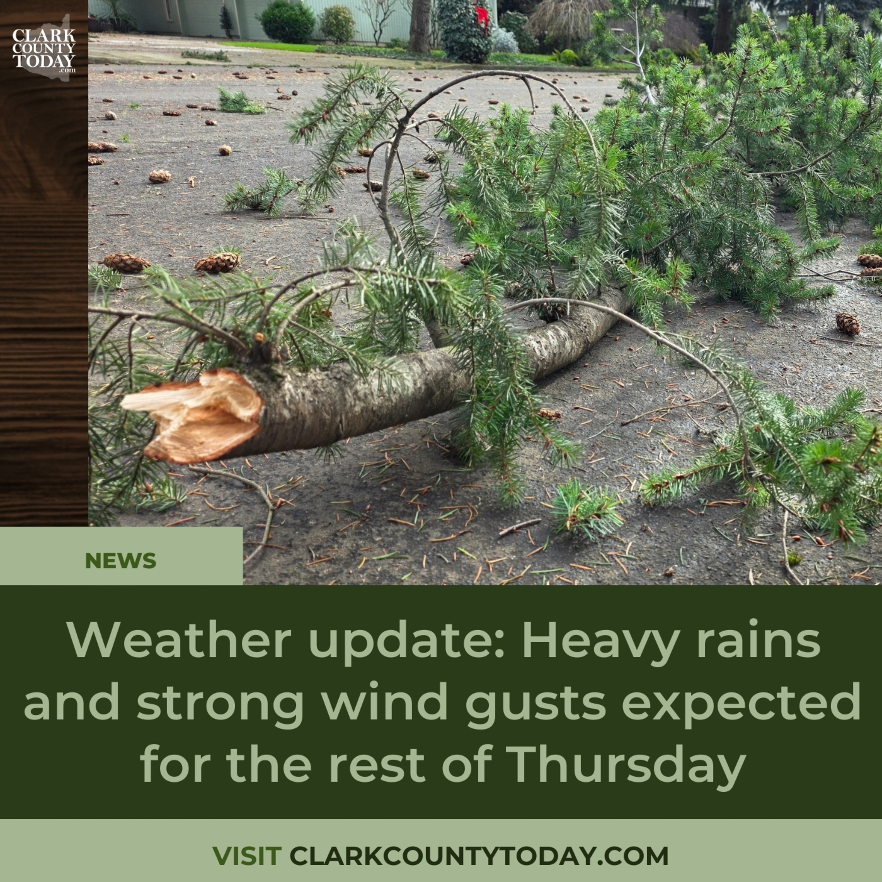 Weather update: Heavy rains and strong wind gusts expected for the rest of Thursday episode artwork