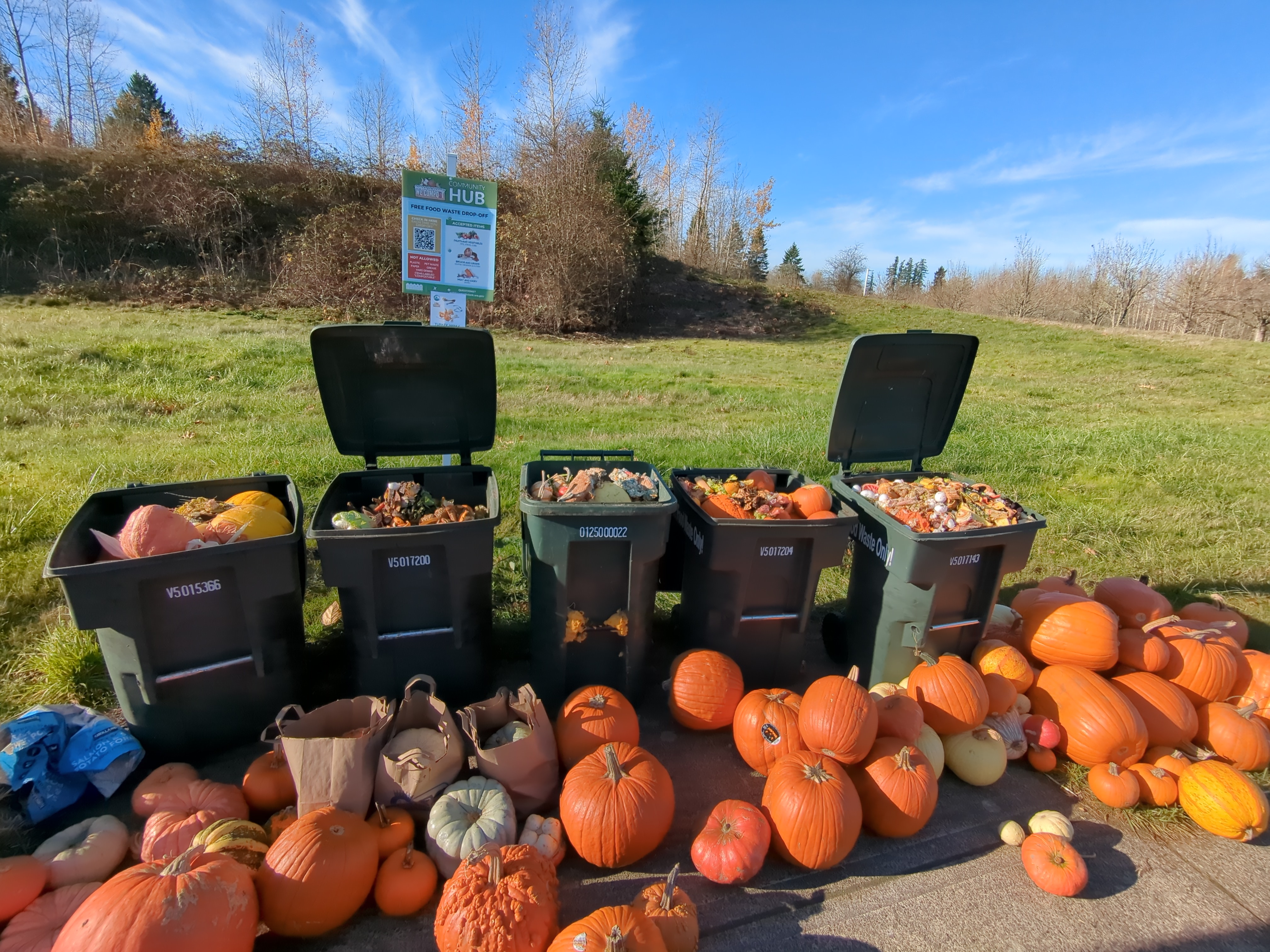 Composting pumpkins in Clark County a great way to give pumpkins a second life after seasonal celebrations