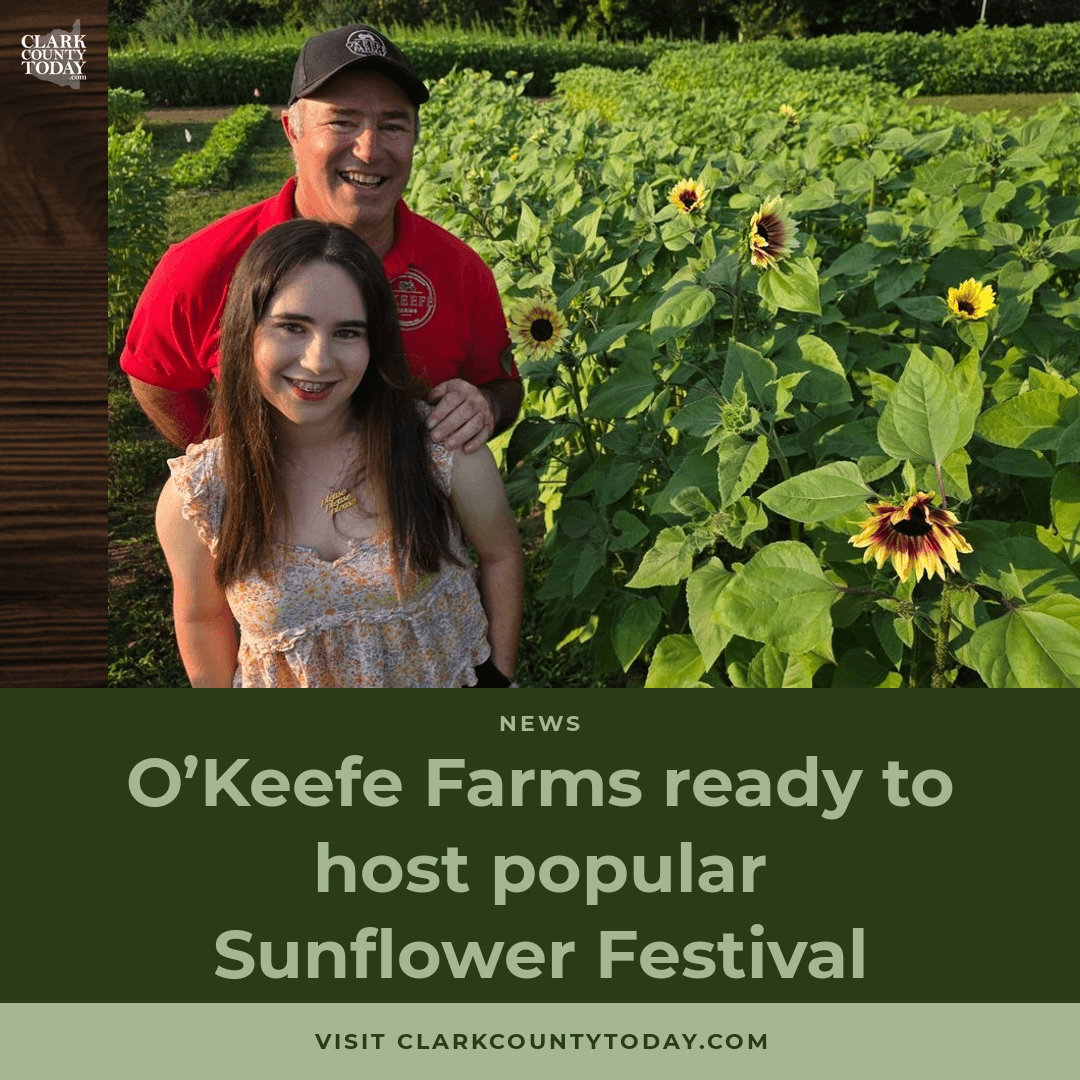 O'Keefe Farms Sunflower Festival Returns to Hockinson episode artwork