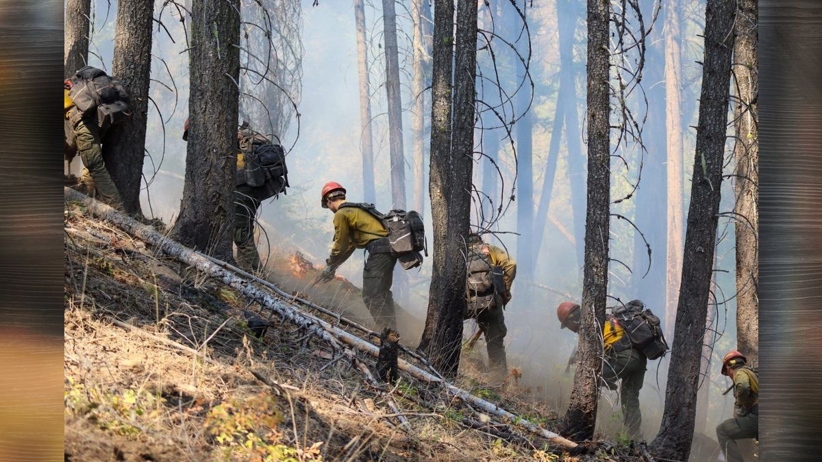 Cost to battle 20 wildfires in WA has topped $200M