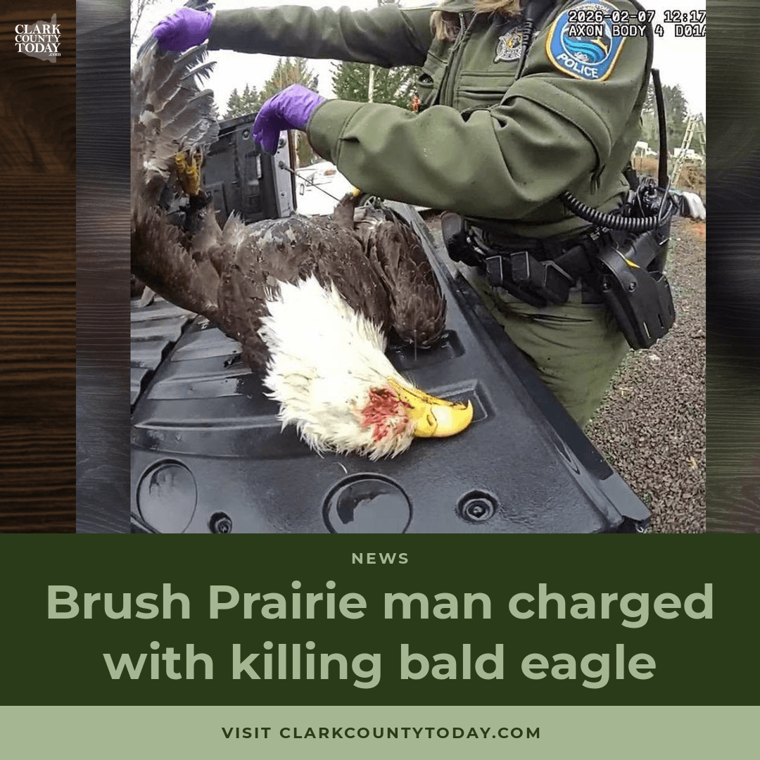 Brush Prairie Man Charged in Bald Eagle Shooting episode artwork