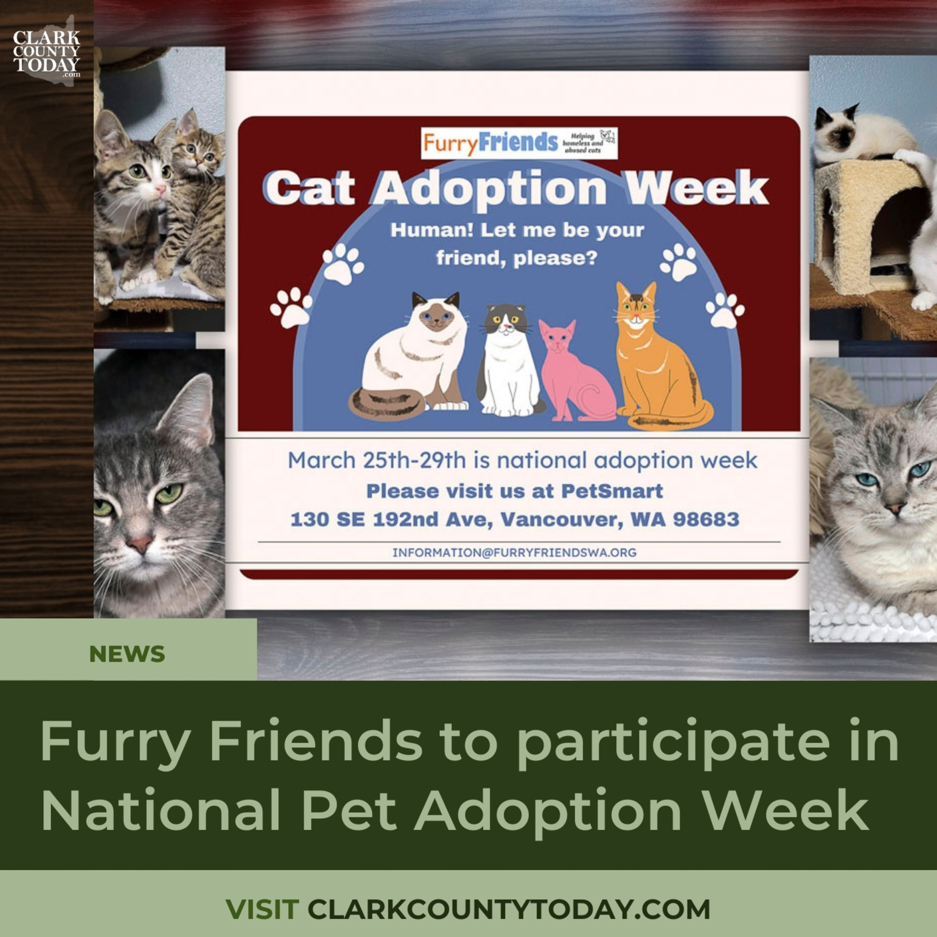 Furry Friends Brings Cat Adoption Event to East Vancouver PetSmart episode artwork