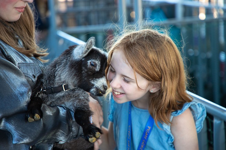 The 158th Clark County Fair runs Aug. 7-16 in Ridgefield, featuring Mars Encounters, three headliner concerts, and admission prices held steady from last year.