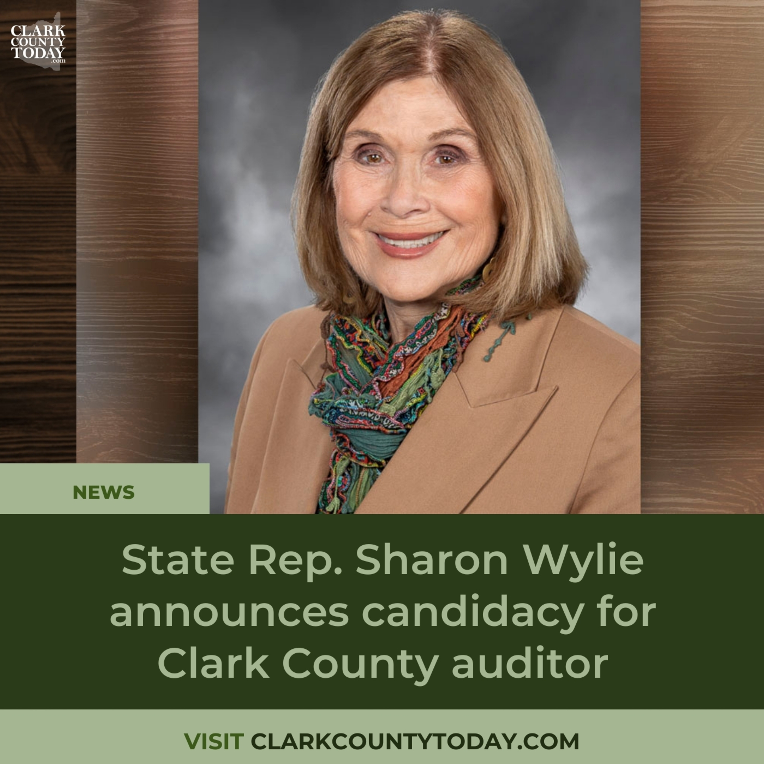 State Rep. Sharon Wylie announces candidacy for Clark County auditor episode artwork