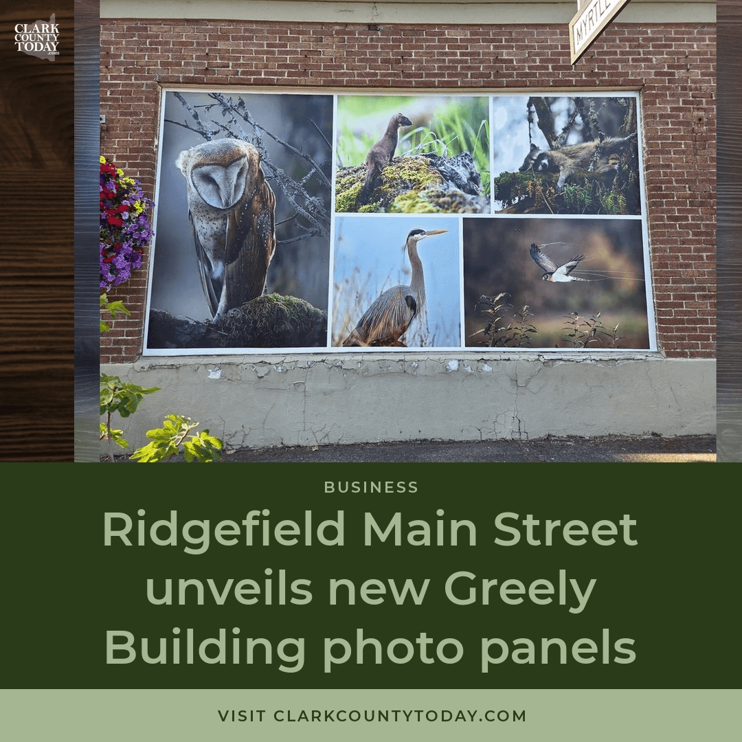 Ridgefield's Greely Building Gets a Visual Makeover episode artwork