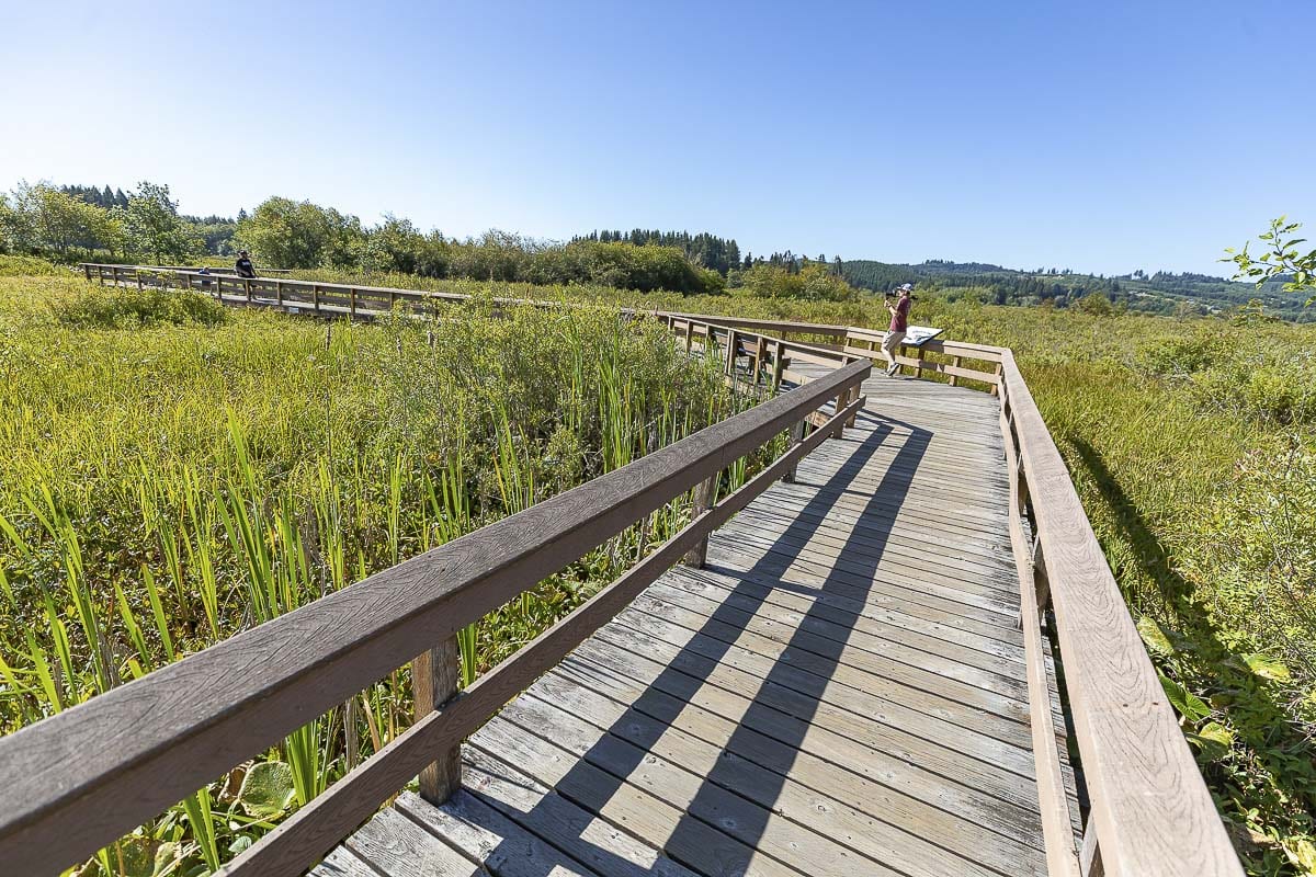Large wooden walkways shown here criss-cross the wetland area adjacent to Silver Lake, behind the visitor center. They are ADA accessible. Photo by Mike Schultz
